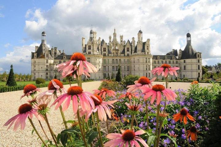 Appartement La Coupole トゥール エクステリア 写真